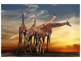 3-piece-canvas-print-girafe-at-sunset