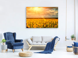 panoramic-3-piece-canvas-print-golden-light-sunflower