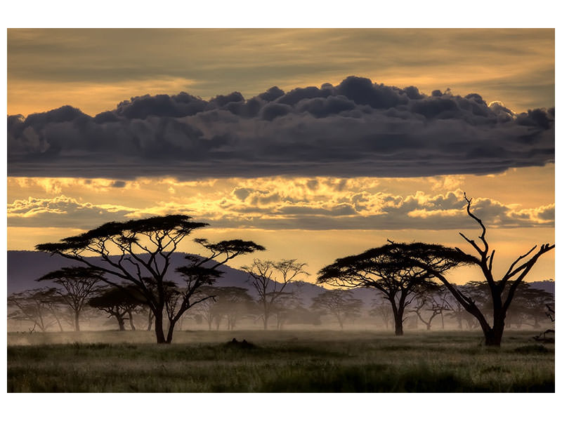 4-piece-canvas-print-good-evening-tanazania