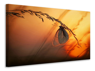 modern-4-piece-canvas-print-good-night