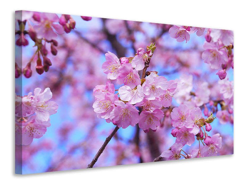 modern-3-piece-canvas-print-gorgeous-cherry-blossom