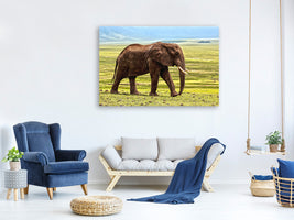 3-piece-canvas-print-gorgeous-elephant