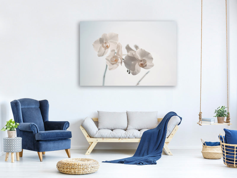 modern-4-piece-canvas-print-graceful-orchids