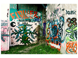 panoramic-3-piece-canvas-print-graffiti-in-the-backyard