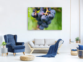 3-piece-canvas-print-grapes