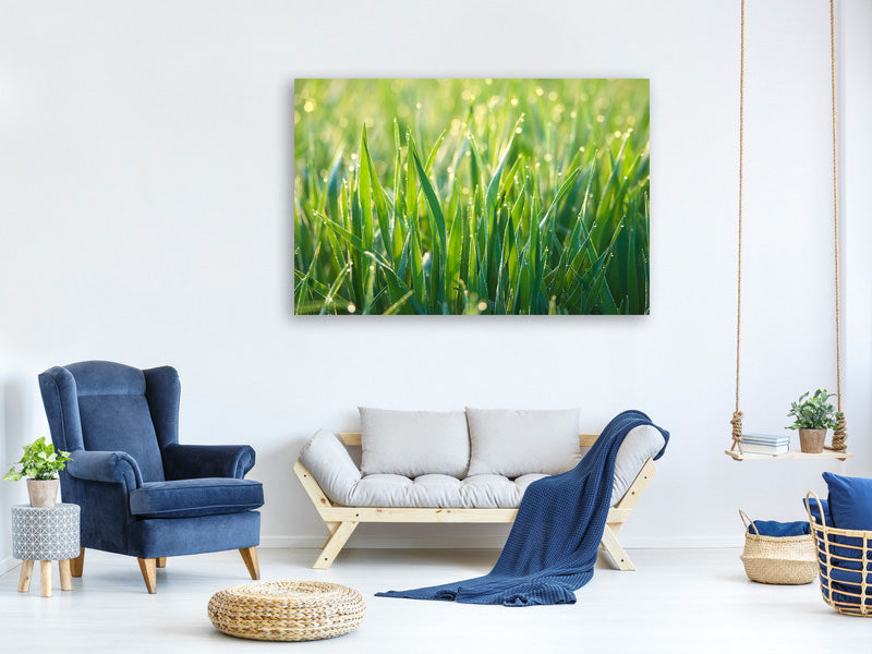 3-piece-canvas-print-grass-with-morning-dew-xl