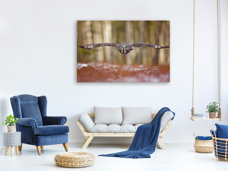 modern-3-piece-canvas-print-great-grey-owl