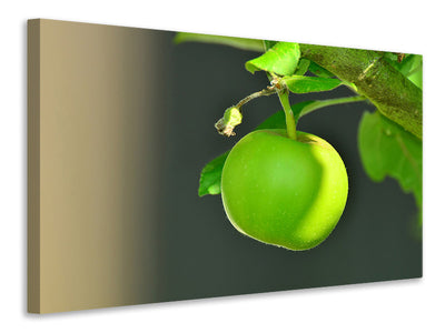3-piece-canvas-print-green-apple