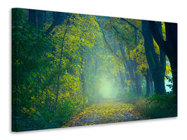 4-piece-canvas-print-green-forest