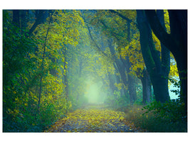 3-piece-canvas-print-green-forest