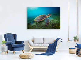 modern-3-piece-canvas-print-green-turtle