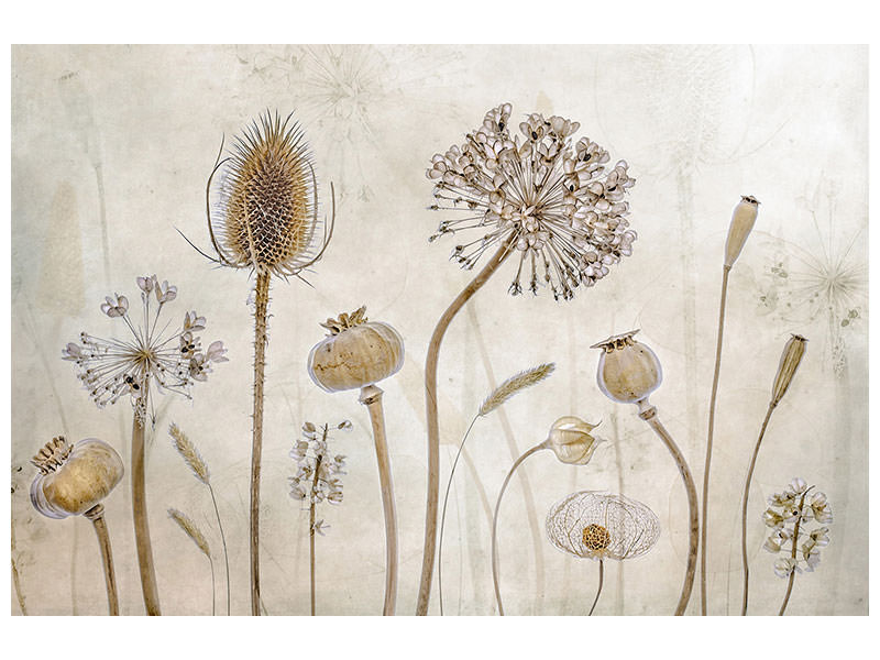 3-piece-canvas-print-growing-old