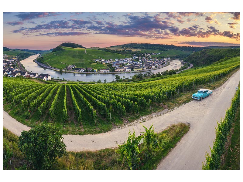 canvas-print-moselle-bend-with-vineyards
