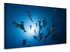 5-piece-canvas-print-hammerhead-sharks-in-the-light