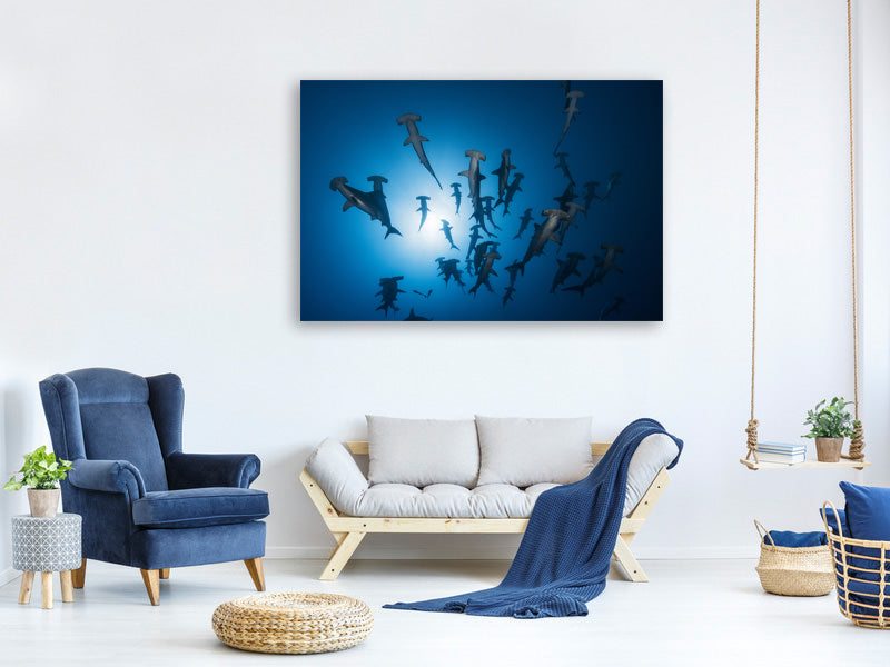 panoramic-3-piece-canvas-print-hammerhead-sharks-in-the-light