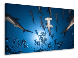 4-piece-canvas-print-hammerhead-shark