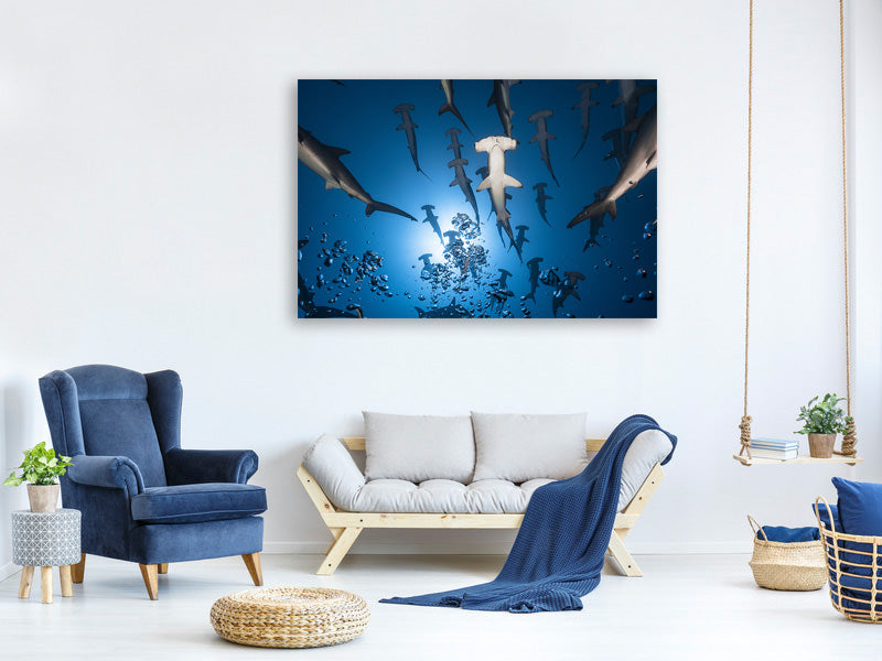 4-piece-canvas-print-hammerhead-shark