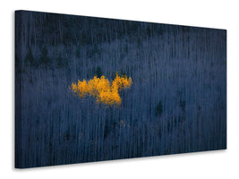 panoramic-3-piece-canvas-print-heart-of-aspens