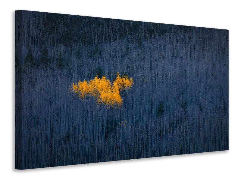 panoramic-canvas-print-heart-of-aspens