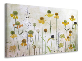 5-piece-canvas-print-helenium