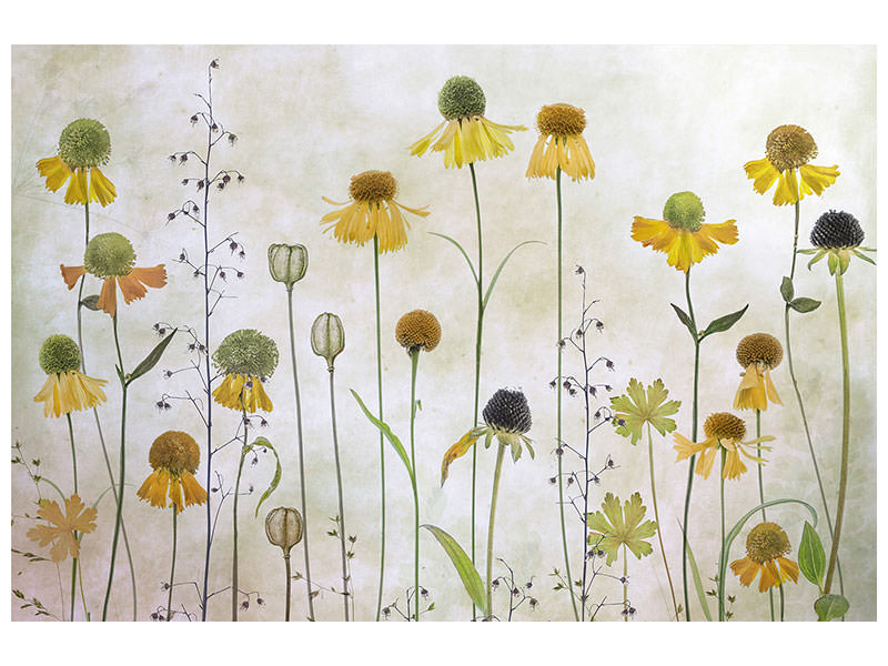 3-piece-canvas-print-helenium
