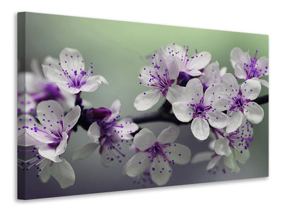 modern-3-piece-canvas-print-heyday