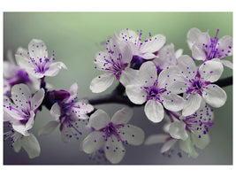 5-piece-canvas-print-heyday
