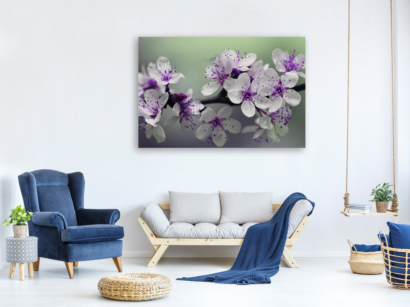 5-piece-canvas-print-heyday