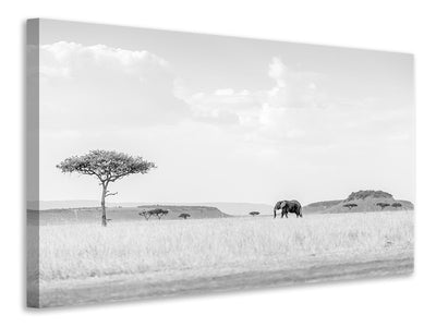 panoramic-3-piece-canvas-print-high-key-savannah