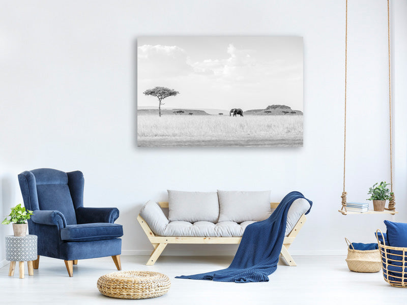 5-piece-canvas-print-high-key-savannah