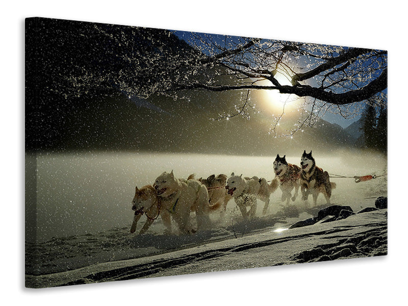 3-piece-canvas-print-huskies