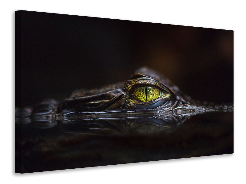 4-piece-canvas-print-hypnotic