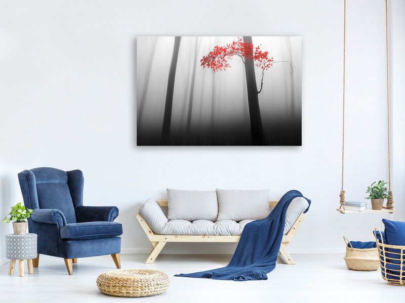 3-piece-canvas-print-illusion
