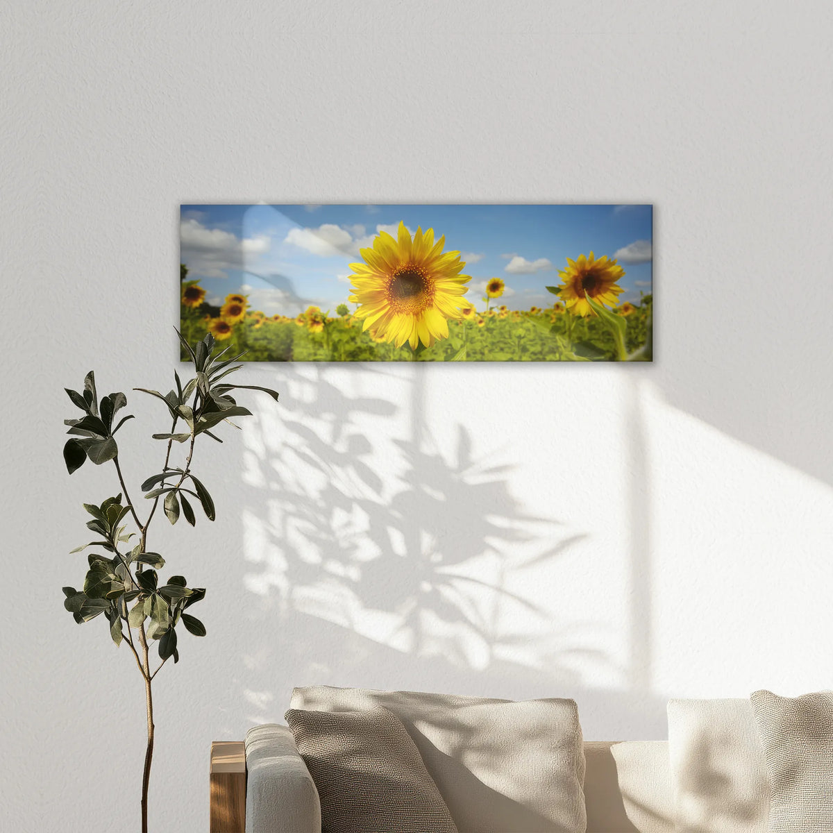 LW-150P050