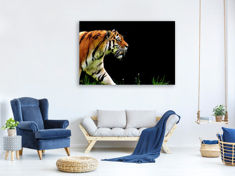 3-piece-canvas-print-imposing-tiger