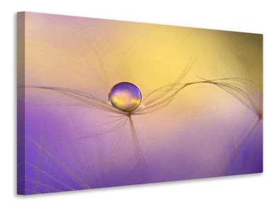 modern-4-piece-canvas-print-in-arms