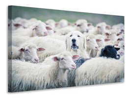 panoramic-canvas-print-in-disguise
