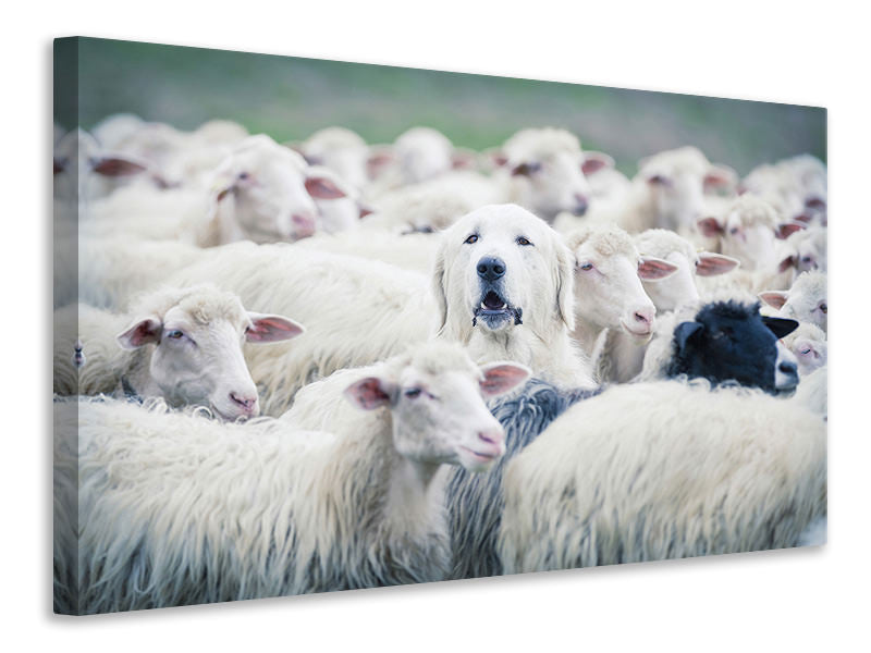 3-piece-canvas-print-in-disguise