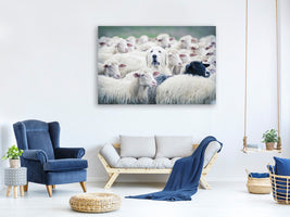 panoramic-canvas-print-in-disguise