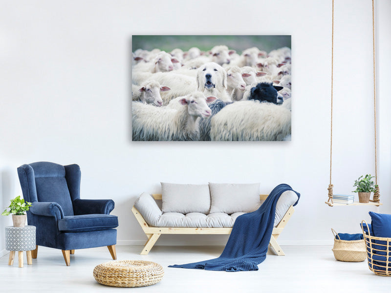 panoramic-canvas-print-in-disguise