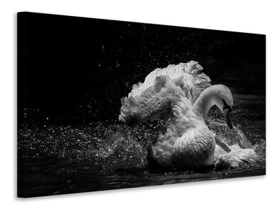 panoramic-canvas-print-in-motion