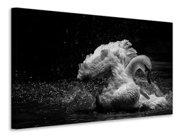 3-piece-canvas-print-in-motion