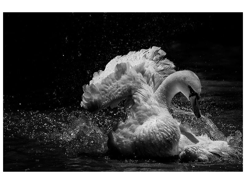 3-piece-canvas-print-in-motion