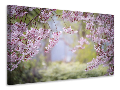 4-piece-canvas-print-in-the-beautiful-spring