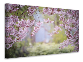 modern-4-piece-canvas-print-in-the-beautiful-spring
