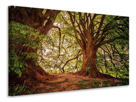 5-piece-canvas-print-in-the-dense-forest