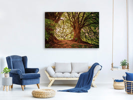5-piece-canvas-print-in-the-dense-forest