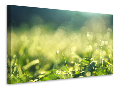 4-piece-canvas-print-in-the-meadow