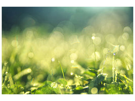 panoramic-3-piece-canvas-print-in-the-meadow