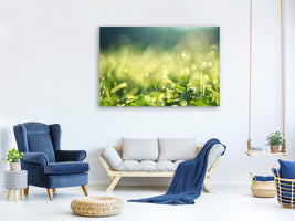 5-piece-canvas-print-in-the-meadow